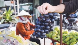 Cảnh báo nho, chanh, táo nhiễm độc TQ tuồn vào Việt Nam